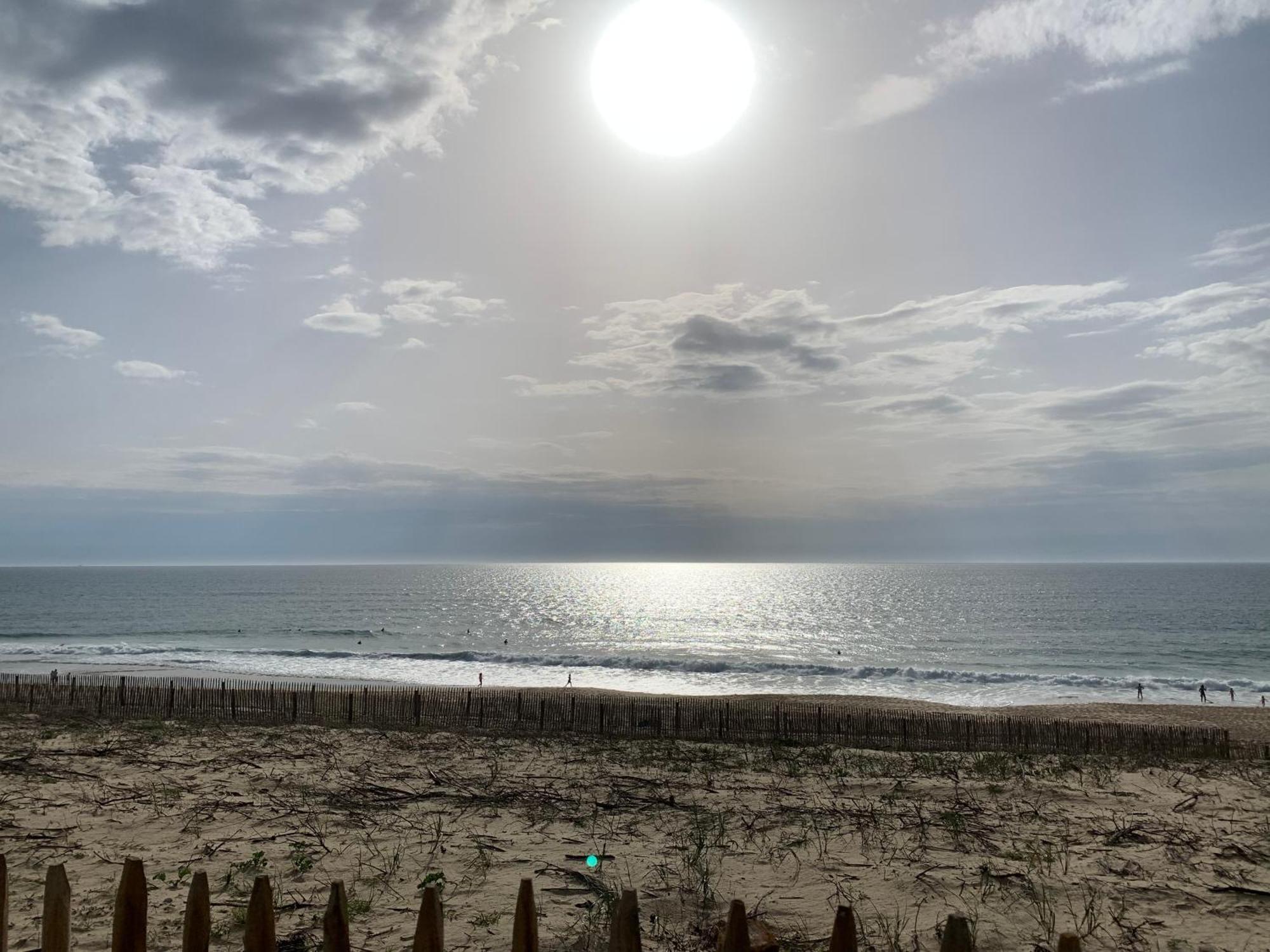 Appartement Rez-De-Chaussee Entre Dunes Et Ocean Лакано Екстер'єр фото